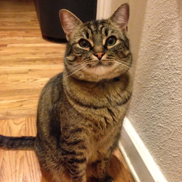 ✨Everything must go!✨ - Picture 1 of 1